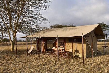 4 Day Adventure Lake Manyara , Serengeti & Ngorongoro 