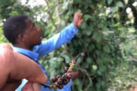 Zanzibar Must-see Sights with Lunch and Transfers