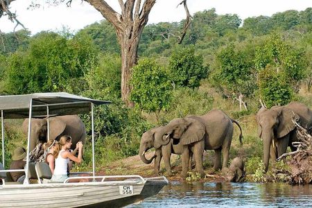 Chobe Safari Day Trip From Livingstone