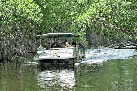 YS Falls plus Black River Safari Guided Tour w/Lunch & Admission from Falmouth