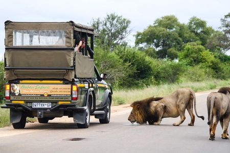Kruger National Park - Full Day Safari