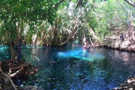 Kikuletwa Hot Spring Day Tour