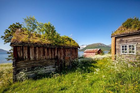 Summer Fjord Road Trip with Citizen Science with Wandering Owl