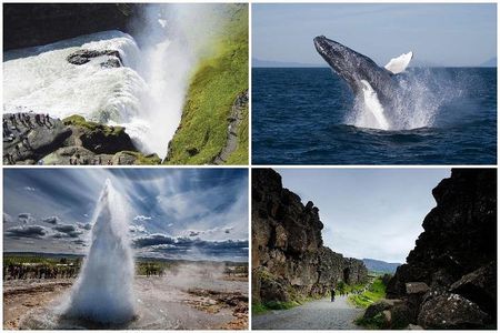 Whale Watching and Golden Circle Tour from Reykjavik