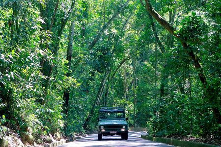 Tijuca Forest Jeep Tour