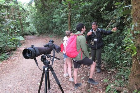 Walk in Santa Elena Cloud Forest Reserve
