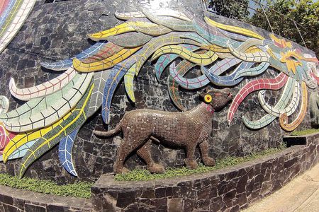 6 Hour Fun-Filled Tour Perfect for Cruise Travelers & Hotel Stays