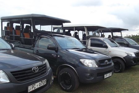 The Best Safari tour from Hambantota Port (Janaka safari)