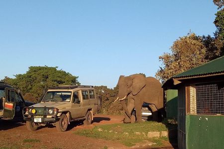 2 Days / 1 Night Tanzania Safari Tour