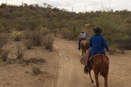 Horseback ride and witness magical sunset of Loreto, BCS