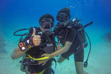 Full-Day Catalina Island Scuba Diving Tour from Punta Cana
