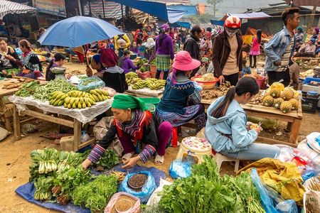 Sapa, Bac Ha Market Tour - 1 Day Tour