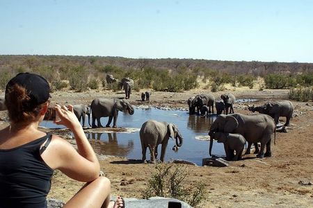 3 Day Etosha Budget Camping Safari