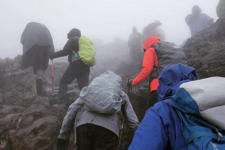 Mt. Kilimanjaro Day Hiking