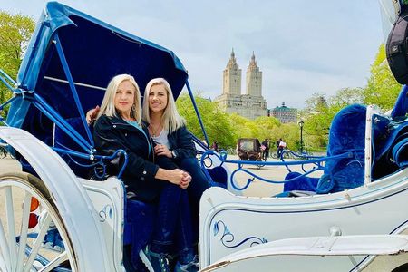 45 min Long VIP Central park carriage ride 
