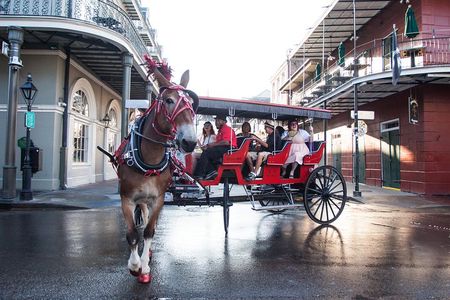 New Orleans French Quarter and More Carriage Ride 