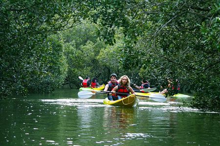 Bay of Islands Waterfall Explorer Kayaking Tour