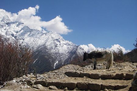 Everest Base Camp - Cho La Pass - Gokyo Trek