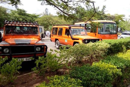 6 Days Climb Kilimanjaro Through Marangu Route