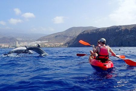 Tenerife: Turtle and Dolphin Kayak Tour with Snorkel and Wetsuit