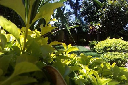 6 Days Climbing Mt.Kilimanjaro (Lemosho route)
