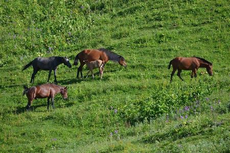 Relaxable and Knowledgeable 9 days Tour in Azerbaijan