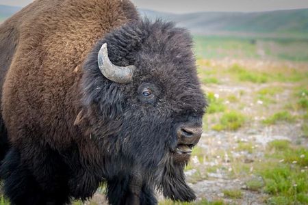 Half Day Group Sunset Wildlife Safari