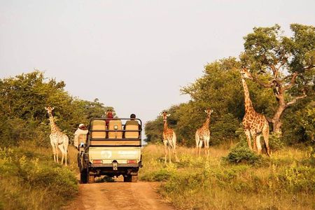 Cape Town South Africa - Best of Aquila Safari Tour 