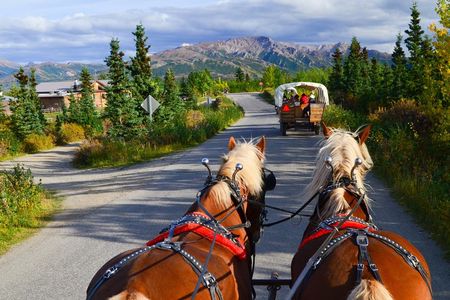 Horse-Drawn Covered Wagon Ride with Backcountry Dining