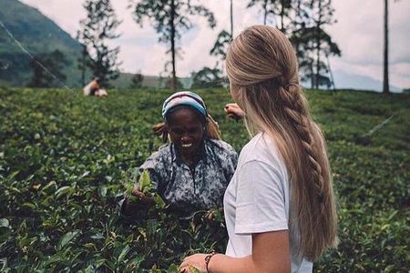 Kandy & Nuwara Eliya | 2 Days Tour