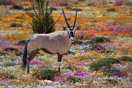 West Coast Wonders Full Day Tour with Private Transfer