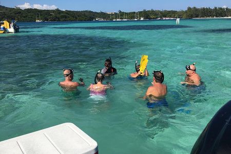 Roatan Monkey, Sloth Eco-Park and Two Reef Snorkel