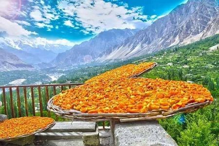 08 Days Autumn Trip to North Pakistan (08D 07N)