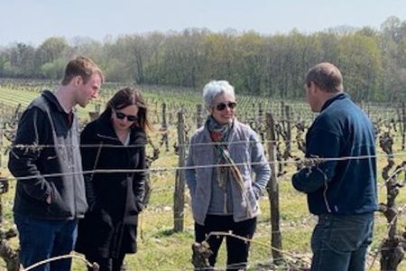 English Speaking Loire Winery Tours originating from Chinon