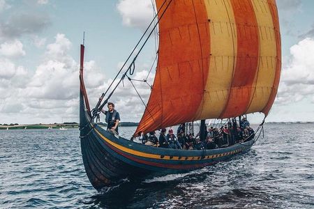 Private Tour to Vikings City Roskilde from Copenhagen