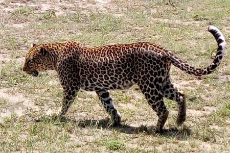 4 Days - Majestic Maasai Mara and Lake Nakuru Safari