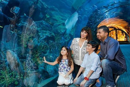 Half Day Dubai City Tour & visit to Dubai Aquarium Underwater Zoo