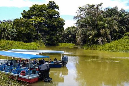 4-Day Adventure in Tortuguero National Park 