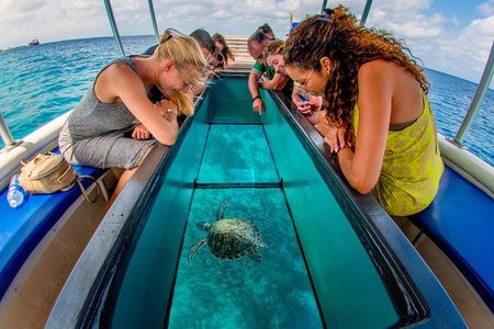 Private Glass bottom reef tour to Klein Bonaire