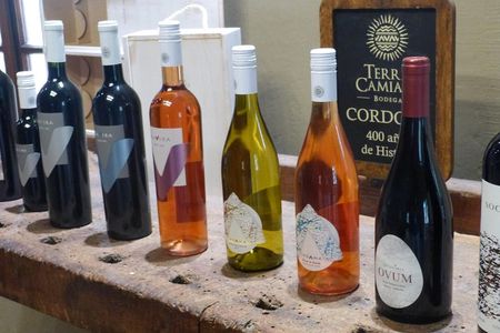 PRIVATE TUR: Caroya WineTour HalfDay