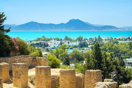 Carthage, Bardo Museum, Sidi Bou Said and Medina Private Day Tour