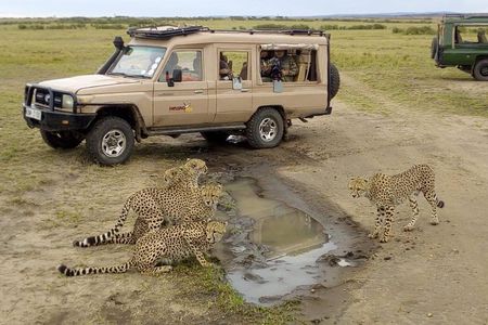 3 Days Masaai Mara budget safari