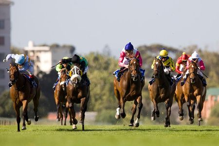 Kenilworth Raceday Tour