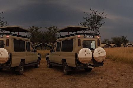 3 Day Lake Manyara, Ngorongoro crater, Tarangire Safari