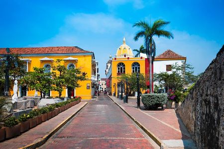 Cartagena Deluxe for Cruises - Private City Tour 