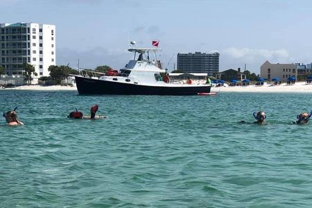 Destin: Private Snorkel/Shelling/Eco Excursion for Up to 28
