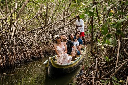 Shore Excursion Mangroves tour