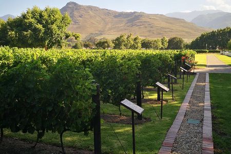 Private Cape Winelands Ful Day Ultra Flexible Guided Tour.