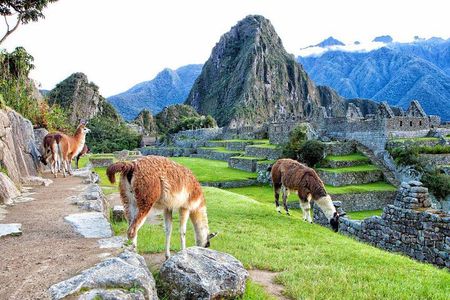 Sacred Valley Connection to Machu Picchu (Overnight in Sacred Valley)