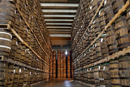 Ron Barcelo Imperial Experience tasting at aging cellar 
